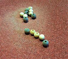 Un'altra Coca spagnola da kit AMATI-ber1.jpg