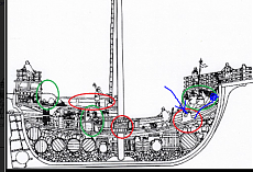 Coca (Amati) sezionata-dimostrativo.png