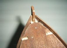 Shenandoah Corel-shenandoah-033.jpg