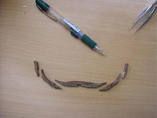 Sezione maestra H.M.S. Victory-p6192933.jpg