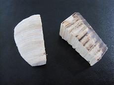 Scotland - Ketch del Baltico-img_1903.jpg