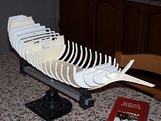 Saettia Genovese - le origini-100_3080.jpg