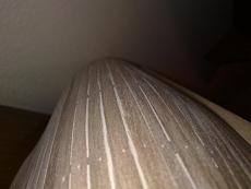 Endeavour 1:60 - Mantua-20072010055.jpg