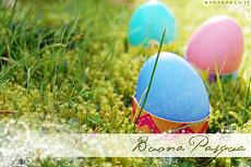 Buona Pasqua-uova_pasqua.jpg