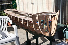 Muimota-001.jpg