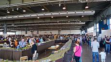 Aspettando Model Expo Italy - Verona 21/22 Maggio 2016-dsc05819.jpg