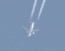 Scie Chimiche-ingrandimento-2.jpg
