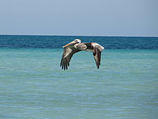 Cuba...75 giorni live-img_2035.jpg