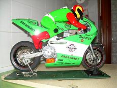 Guardiamoci in faccia!!-dscn2109.jpg