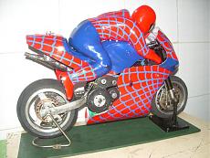 Guardiamoci in faccia!!-dscn4139.jpg