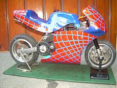 I Nostri Modelli e Trofei-dscn4043.jpg