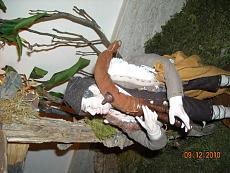 Il presepe: un diorama natalizio-immagine-227.jpg