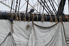 Fotografie dell'Hermione-11822323_10206447707863523_6714203998544862245_n.jpg