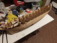 Amerigo Vespucci OcCre-1731267118988.jpg