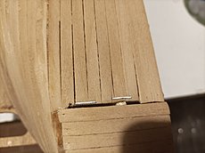 Amerigo Vespucci OcCre-1731267068086.jpg