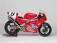 Zed Red's gallery-img_8471.jpg