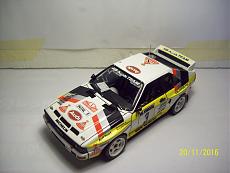 Loris Gallery-101_7213.jpg