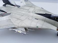 Zaphod's Gallery-tamiya_f-14a_jolly-rogers_321.jpg