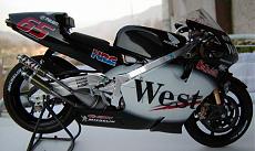 Davide New Gallery-pc170023.jpg