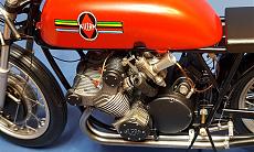 Gatto4 Gallery-20200415_101631.jpg