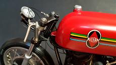 Gatto4 Gallery-20200416_173923.jpg