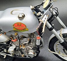 Gatto4 Gallery-20230529_202115.jpg