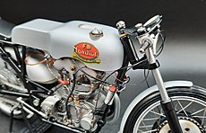 Gatto4 Gallery-20230602_123421.jpg
