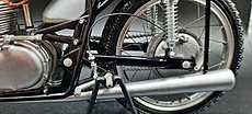 Gatto4 Gallery-20230602_123618.jpg