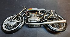 Gatto4 Gallery-20230602_202322.jpg