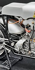 Gatto4 Gallery-20230624_143138.jpg
