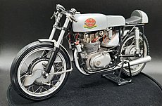 Gatto4 Gallery-20230624_143212.jpg
