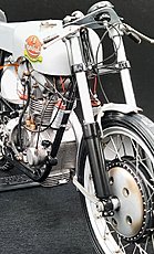 Gatto4 Gallery-20230624_143232.jpg