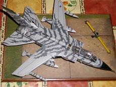 LEASYS' Gallery-imgp0254.jpg