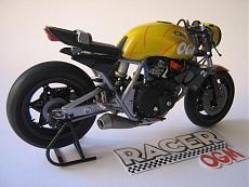 ditraverso's Gallery-img_0458.jpg
