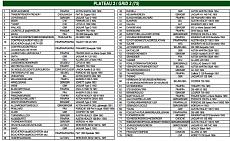 nuovo sito www.6-12-24.com-plateau2.jpg