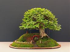 Modellisti giapp-75312c676d353acd23cc841afe57e236-mini-gardens-miniature-gardens.jpg