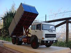 Camion 1/24 trasporto bestiame.-m519.jpg