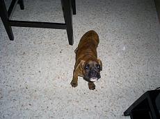 OT: pap pure io... pi o meno...-07.jpg