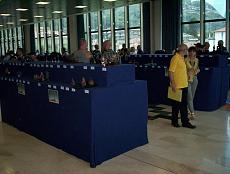 [MOSTRA] World model expo LUGLIO 2014-100_7114.jpg