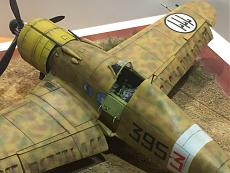 Fiat g50 bis, 1/72 Fly-img_8600.jpg