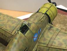 Fiat g50 bis, 1/72 Fly-img_8601.jpg