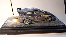 Diorama Ford Fiesta WRC - Montecarlo 2017-20210421_162845.jpg