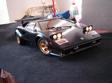 [AUTO] Testors Countach 1/12-dsc00169.jpg