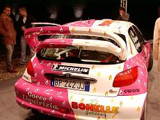 [Auto] Peugeot 206 WRC Le Bonelle Rally della Lanterna 2003-2002-497.jpg