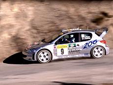 [Auto] Peugeot 206 WRC Le Bonelle Rally della Lanterna 2003-peugeot-206-wrc.jpg