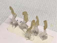 [auto] Ferrari 126 C2  Tameo Kits  1/43-prese-daria-4.jpg