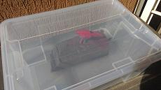 Kawasaki ninja wip-imag0675.jpg