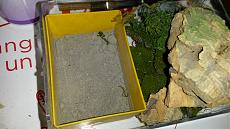 [Diorama] El bohio cubano-20160911_152105.jpg