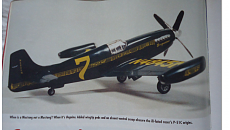 [Aereo] North American P-51D Mustang - Tamiya 1:48-beguinoba.png