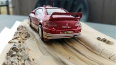 Dopo 10 anni ripreso-20180606_174359.jpeg